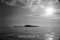 Mrkan i Bobara