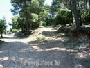 spoj trekking staze s putem izme�u Petki